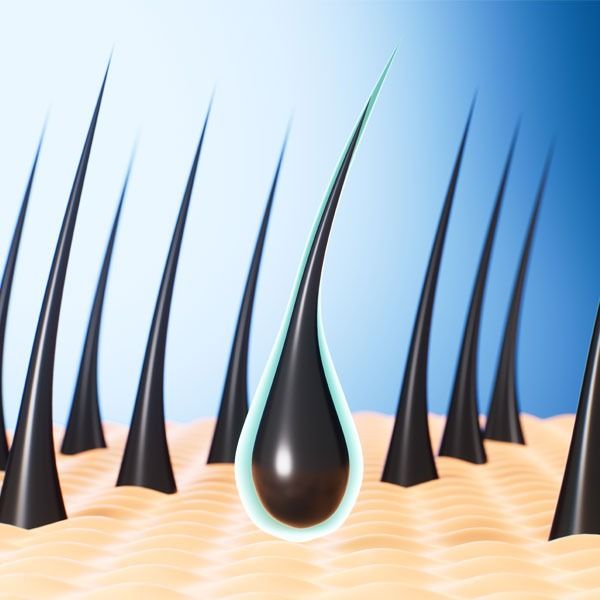 cycle_de_vie_du_cheveu_anagene_catagene_telogene_comment_ca_fonctionne_vraiment_